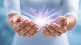 WhatsApp Image 2026-02-15 at 15.53